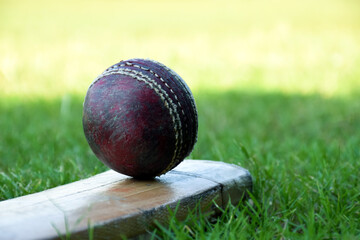 Cricket sport training equipments, old leather ball and wooden bat on grass court, soft and selective focus.