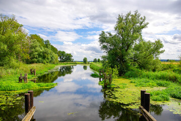 Mecklenburg River Landscape near Nehringen, Mecklenburg-Western Pomerania, Germany