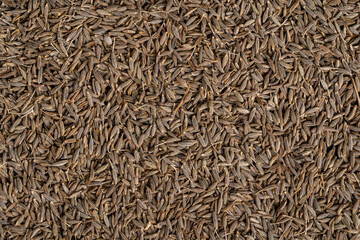 Top view of a pile of cumin seeds on a table