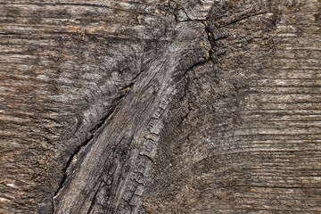 Closeup photo of old gray wooden wall texture background