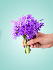 Bouquet of purple bluebell flowers in a male hand.