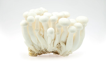 Close-up White beech mushroom, Shimeji mushroom, isolated on white background