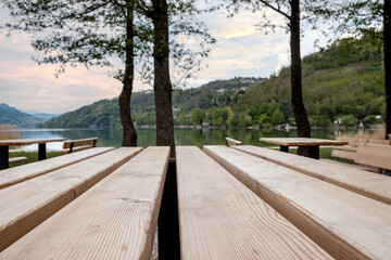 Landscape of a wooded park with wooden boards of a table, in the foreground