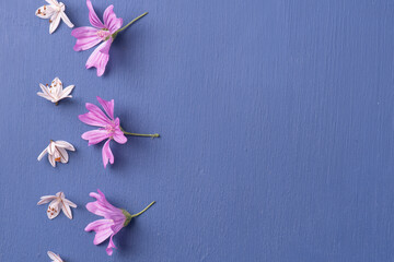 Flores sobre fondo azul muy primaveral con espacio para recurso gráfico, invitacion,...