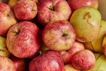 Background of homemade apples. Beaten and sliced homemade apples. 