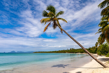 Salines beach, Sainte-Anne, Martinique, FWI