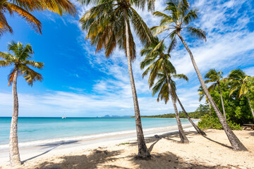 Obraz na płótnie Canvas Salines beach, Sainte-Anne, Martinique, FWI