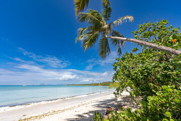 Salines beach, Sainte-Anne, Martinique, FWI