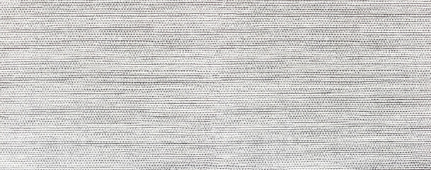 A showcase of dairy products