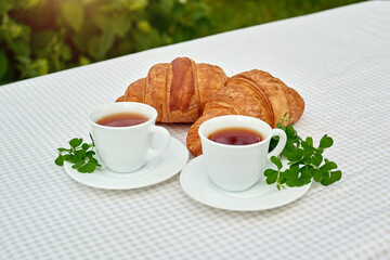 Two cup black tea with camomile and fresh croissants on the table against white background. Flat lay, spring breakfast conceptual composition