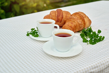 Two cup black tea with camomile and fresh croissants on the table against white background. Flat lay, spring breakfast conceptual composition