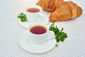 Two cup black tea with camomile and fresh croissants on the table against white background. Flat lay, spring breakfast conceptual composition