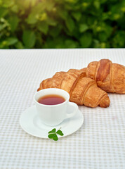 Two cup black tea with camomile and fresh croissants on the table against white background. Flat lay, spring breakfast conceptual composition