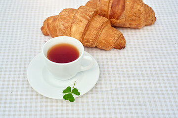 Two cup black tea with camomile and fresh croissants on the table against white background. Flat lay, spring breakfast conceptual composition