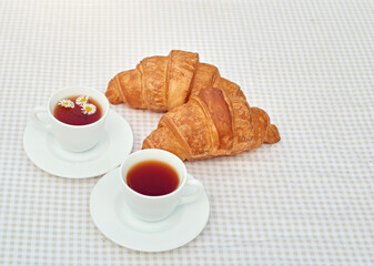 Two cup black tea with camomile and fresh croissants on the table against white background. Flat lay, spring breakfast conceptual composition