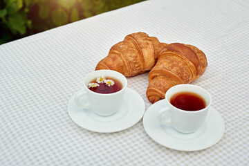 Two cup black tea with camomile and fresh croissants on the table against white background. Flat lay, spring breakfast conceptual composition