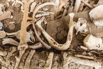 A human jawbone and other remains at an ancient burial site in Lamanok Island, found in Anda,...