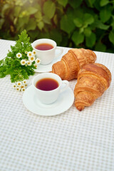 Two cup black tea with camomile and fresh croissants on the table against white background. Flat lay, spring breakfast conceptual composition
