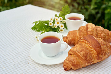 Two cup black tea with camomile and fresh croissants on the table against white background. Flat lay, spring breakfast conceptual composition