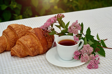 Two cup black tea with flowers and fresh croissants on the table against white background. Flat lay, spring breakfast conceptual composition