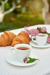 Two cup black tea with flowers and fresh croissants on the table against white background. Flat lay, spring breakfast conceptual composition