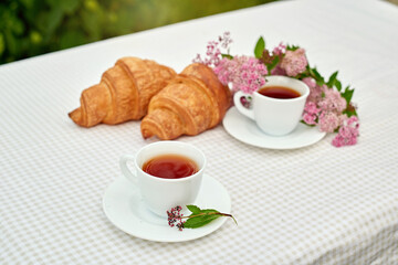 Two cup black tea with flowers and fresh croissants on the table against white background. Flat lay, spring breakfast conceptual composition