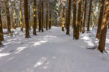 Winter hiking trail in the Thuringian Forest