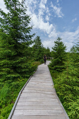 Lotherpfad hiking path made of wooden planks with hiker, Black Forest, Germany