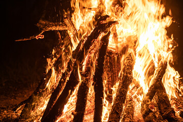 Bonfire with emphasis on the shape of the fire in its orange color, with the logs (wood) being burned.