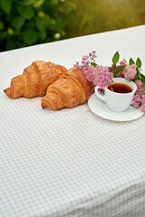 Two cup black tea with flowers and fresh croissants on the table against white background. Flat lay, spring breakfast conceptual composition