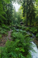 Creek of Gertelsbacher Waterfalls flowing through black forest under a wooden bridge besides a cabin, Buehlertal, Black Forest, Germany