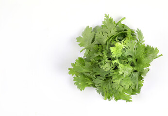Obraz premium Sliced coriander leaves placed on a white background. It is an edible herb that smells good. It is used for cooking and decorating food.