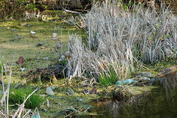 Contaminated water and a pile of smelly and toxic residues. Ecological disaster - the river carries plastic garbage. Plastic waste in the water. The river is very polluted by various toxic debris.