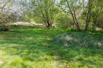 Beautiful English Green Countryside Meadow with Pathway