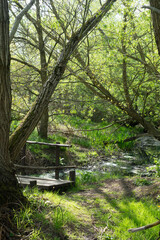 Bridge over a beautiful steam in a spring English meadow walk with a small path