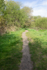 Beautiful English Green Countryside Meadow with Pathway