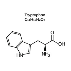 essential amino acid tryptophan on a white background
