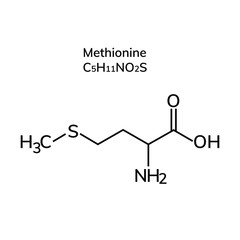 essential amino acid methionine on a white background

