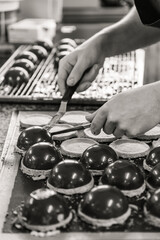 Artisanat : pâtisserie confiserie chocolaterie