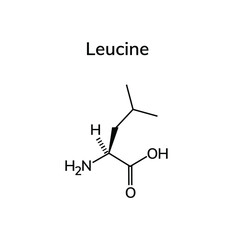 essential amino acid leucine on a white background
