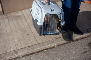 Owner carrying their pet rabbit to the vet in a plastic cage carrier