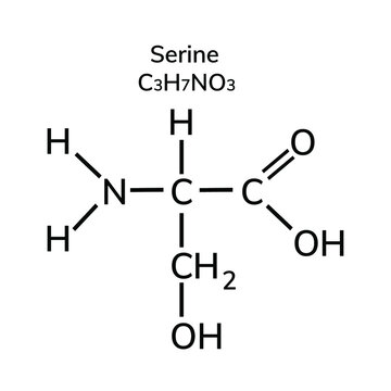 Non-essential amino acid serine on a white backround
