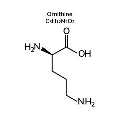 Non-essential amino acid ornithine on a white background
