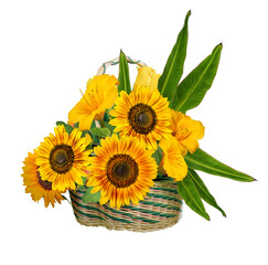 Sunflowers in a basket isolated on a white background