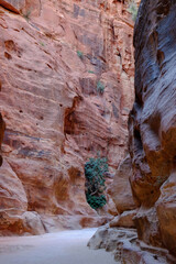 Vertical shot of high rocks in Petra, Jordan
