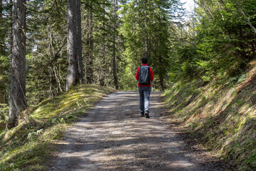Obraz premium In der Schweiz Berner Oberland