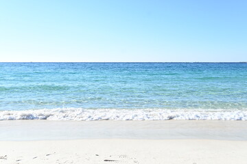 夏の海