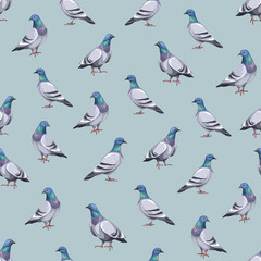 Fototapeta premium Seamless pattern with pigeon birds. Vector illustration