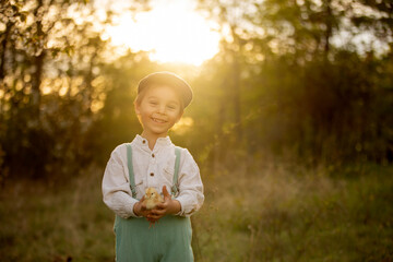 Beautiful toddler boy, child in vintage clothing, playing with little chicks in the park under blooming tree in garden