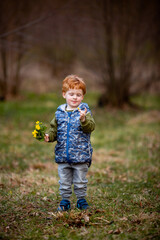 Beautiful nature in spring to walk the kids and make bouquets